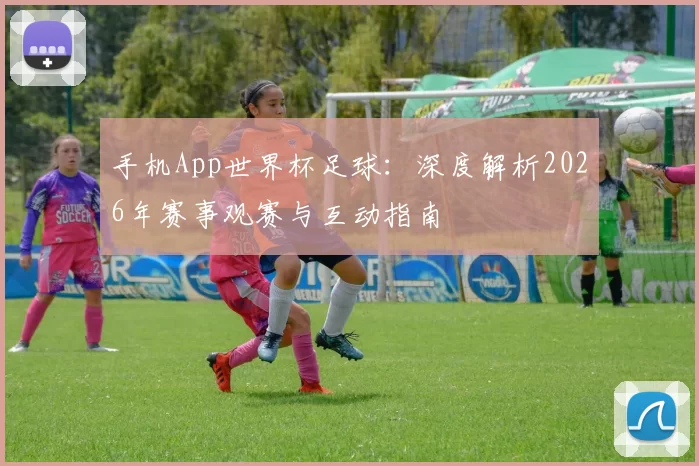 手机App世界杯足球：深度解析2026年赛事观赛与互动指南