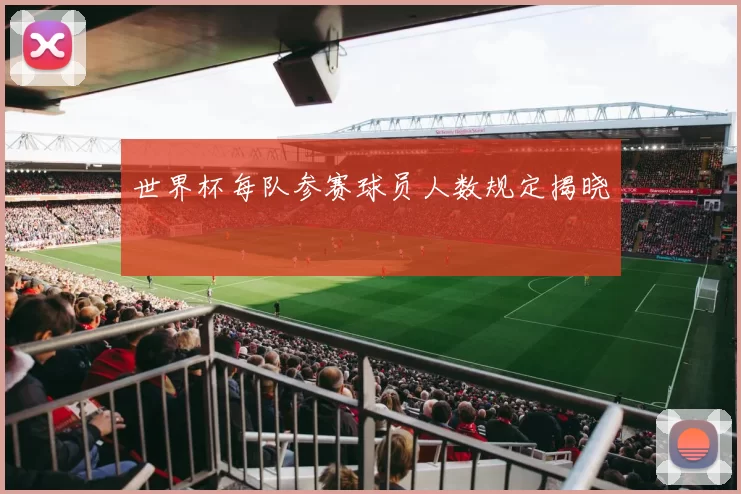 世界杯每队参赛球员人数规定揭晓
