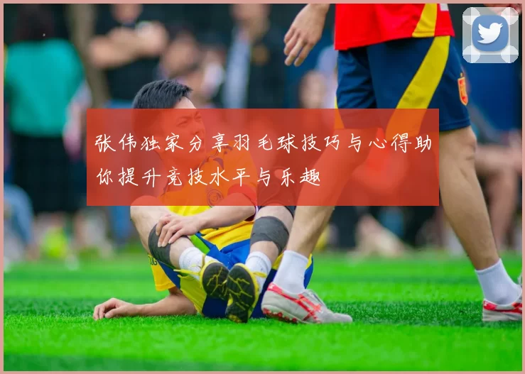 张伟独家分享羽毛球技巧与心得助你提升竞技水平与乐趣