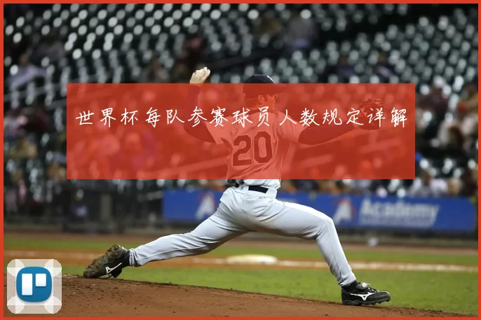 世界杯每队参赛球员人数规定详解