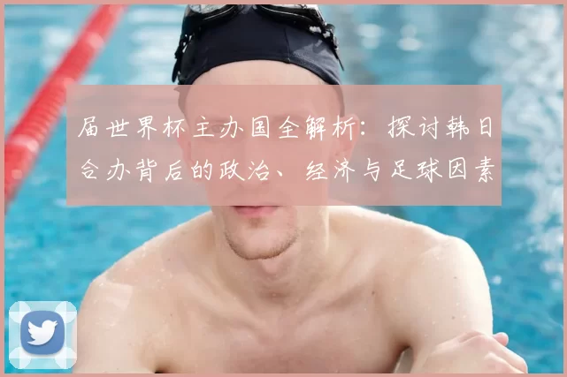 届世界杯主办国全解析：探讨韩日合办背后的政治、经济与足球因素
