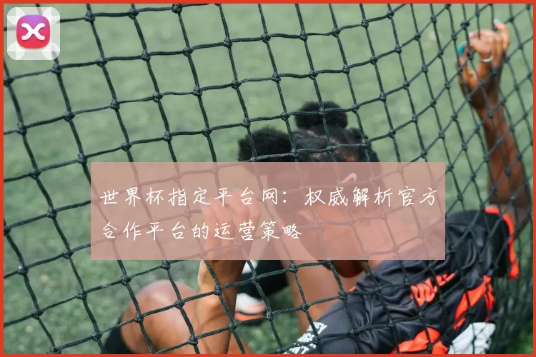 世界杯指定平台网：权威解析官方合作平台的运营策略