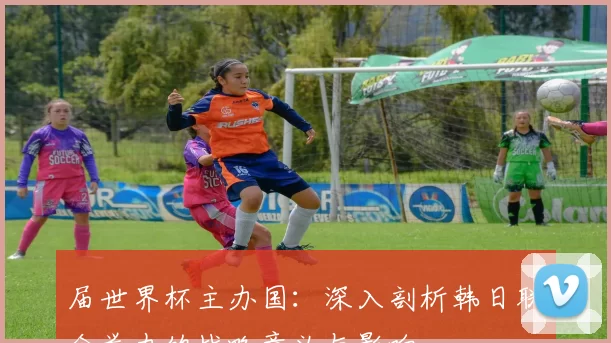 届世界杯主办国：深入剖析韩日联合举办的战略意义与影响
