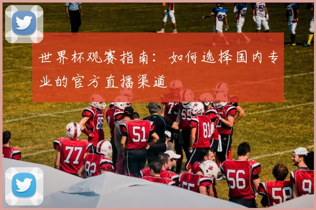 世界杯观赛指南：如何选择国内专业的官方直播渠道