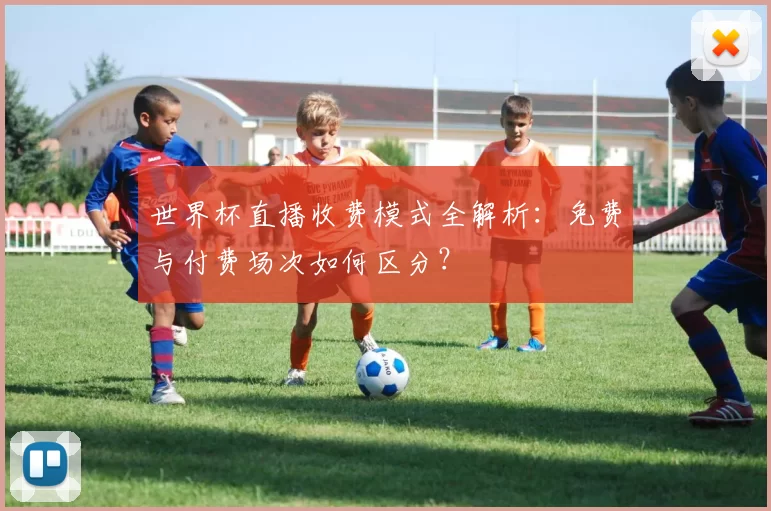 世界杯直播收费模式全解析：免费与付费场次如何区分？