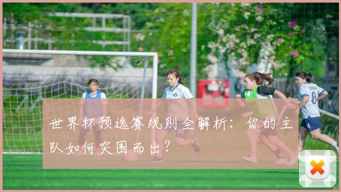 世界杯预选赛规则全解析：你的主队如何突围而出？