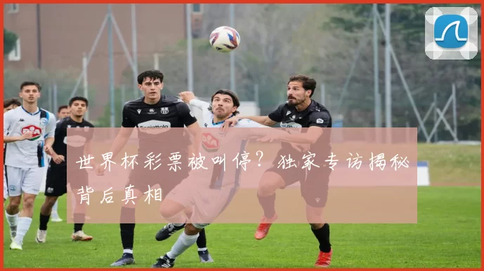 世界杯彩票被叫停?独家专访揭秘背后真相