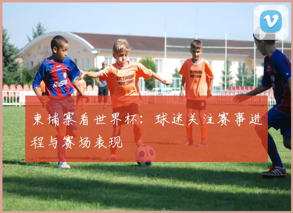 柬埔寨看世界杯：球迷关注赛事进程与赛场表现