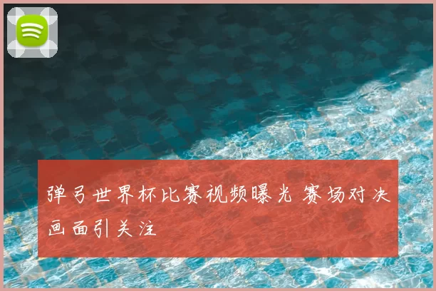 弹弓世界杯比赛视频曝光 赛场对决画面引关注