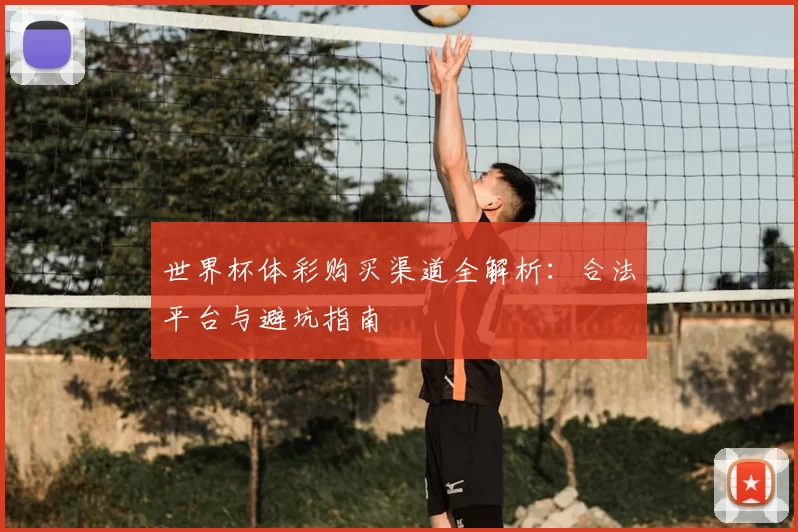 世界杯体彩购买渠道全解析：合法平台与避坑指南