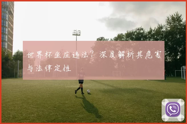 世界杯坐庄违法?深度解析其危害与法律定性