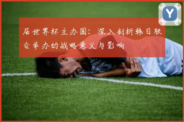 届世界杯主办国：深入剖析韩日联合举办的战略意义与影响