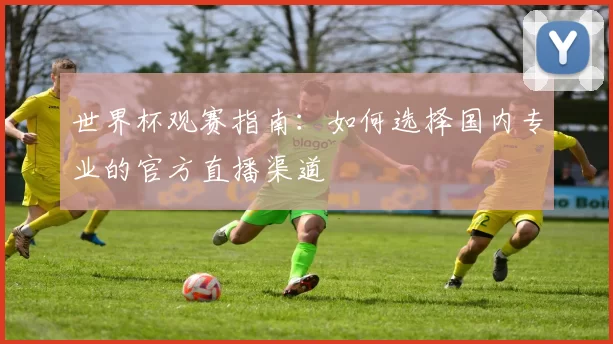 世界杯观赛指南：如何选择国内专业的官方直播渠道