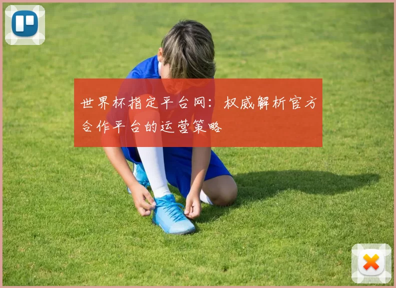 世界杯指定平台网：权威解析官方合作平台的运营策略